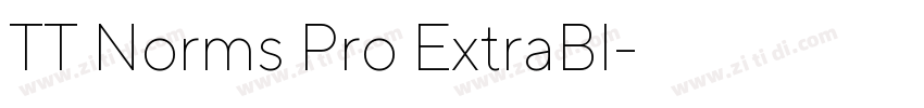 TT Norms Pro ExtraBl字体转换